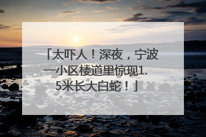 太吓人！深夜，宁波一小区楼道里惊现1.5米长大白蛇！