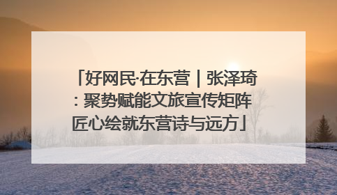好网民·在东营｜张泽琦：聚势赋能文旅宣传矩阵 匠心绘就东营诗与远方