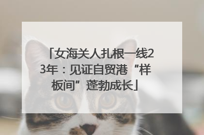 女海关人扎根一线23年：见证自贸港“样板间”蓬勃成长