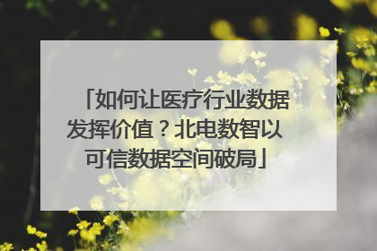 如何让医疗行业数据发挥价值？北电数智以可信数据空间破局