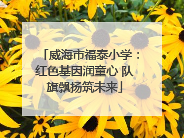 威海市福泰小学：红色基因润童心 队旗飘扬筑未来