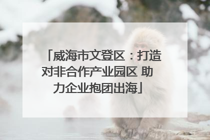 威海市文登区：打造对非合作产业园区 助力企业抱团出海