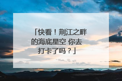 快看！荆江之畔的海底星空 你去打卡了吗？