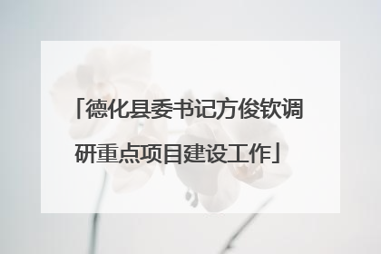 德化县委书记方俊钦调研重点项目建设工作