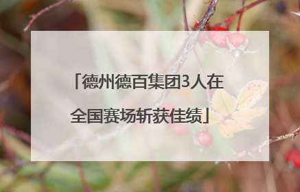 德州德百集团3人在全国赛场斩获佳绩