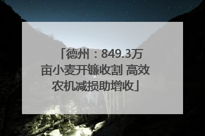 德州：849.3万亩小麦开镰收割 高效农机减损助增收