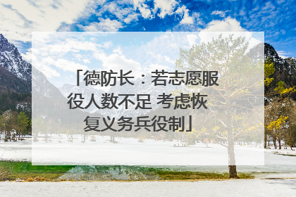 德防长：若志愿服役人数不足 考虑恢复义务兵役制