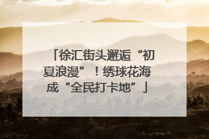 徐汇街头邂逅“初夏浪漫”！绣球花海成“全民打卡地”