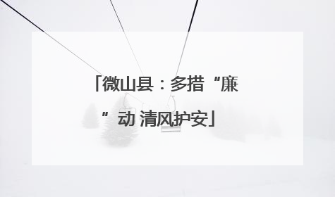 微山县：多措“廉”动 清风护安