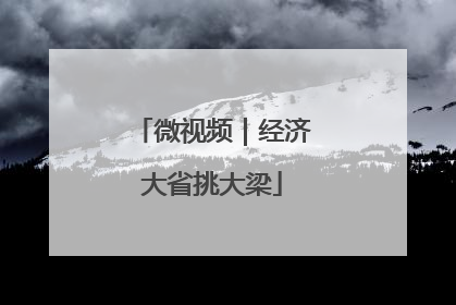 微视频｜经济大省挑大梁