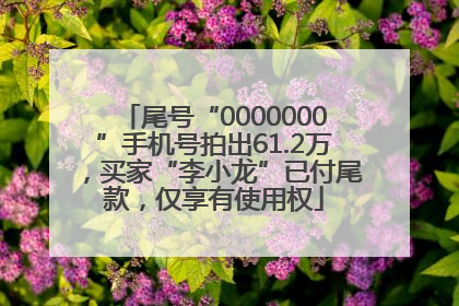 尾号“0000000”手机号拍出61.2万，买家“李小龙”已付尾款，仅享有使用权