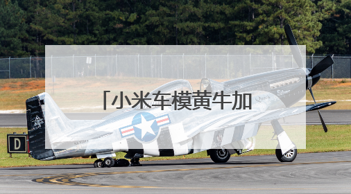 小米车模黄牛加价300元！实车本周到店？大湾区车展将亮相