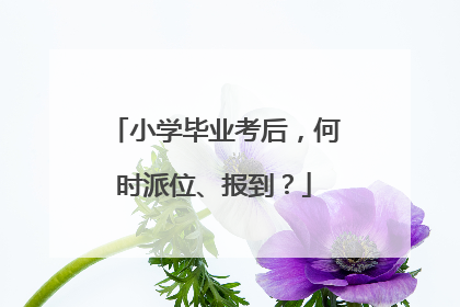 小学毕业考后，何时派位、报到？