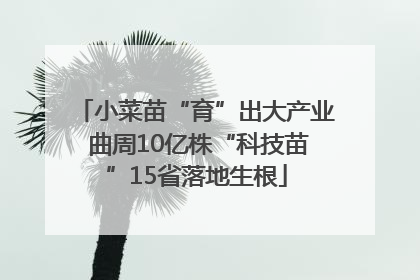 小菜苗“育”出大产业 曲周10亿株“科技苗”15省落地生根