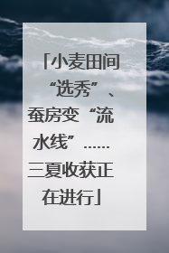 小麦田间“选秀”、蚕房变“流水线”……三夏收获正在进行