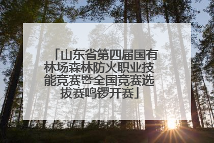 山东省第四届国有林场森林防火职业技能竞赛暨全国竞赛选拔赛鸣锣开赛