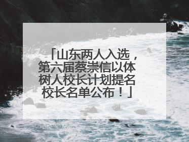 山东两人入选，第六届蔡崇信以体树人校长计划提名校长名单公布！