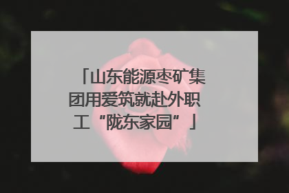 山东能源枣矿集团用爱筑就赴外职工“陇东家园”