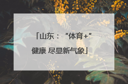 山东：“体育+”健康 尽显新气象