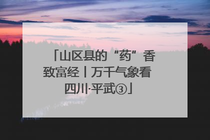 山区县的“药”香致富经丨万千气象看四川·平武③