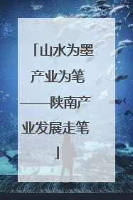 山水为墨 产业为笔——陕南产业发展走笔
