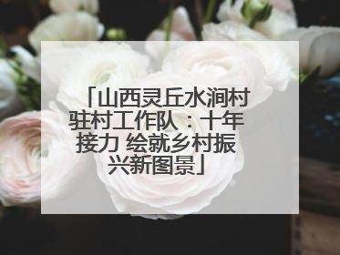 山西灵丘水涧村驻村工作队：十年接力 绘就乡村振兴新图景