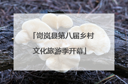 岢岚县第八届乡村文化旅游季开幕