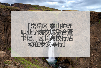 岱岳区 泰山护理职业学院校城融合暨书记、区长高校行活动在泰安举行