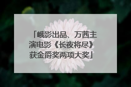 峨影出品、万茜主演电影《长夜将尽》获金爵奖两项大奖