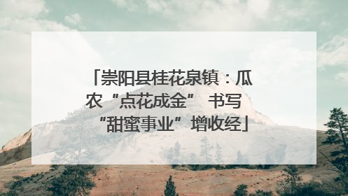 崇阳县桂花泉镇：瓜农“点花成金” 书写“甜蜜事业”增收经