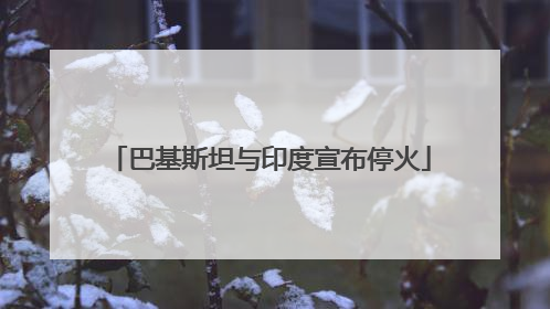 巴基斯坦与印度宣布停火