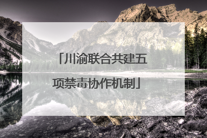 川渝联合共建五项禁毒协作机制