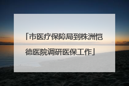 市医疗保障局到株洲恺德医院调研医保工作