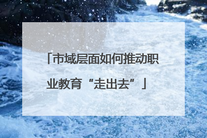 市域层面如何推动职业教育“走出去”