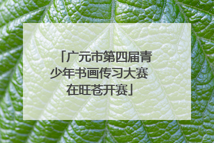 广元市第四届青少年书画传习大赛在旺苍开赛