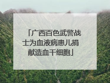 广西百色武警战士为血液病患儿捐献造血干细胞