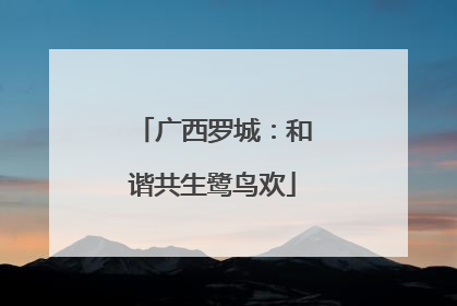 广西罗城：和谐共生鹭鸟欢