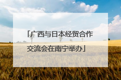 广西与日本经贸合作交流会在南宁举办
