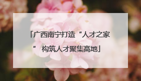广西南宁打造“人才之家” 构筑人才聚集高地
