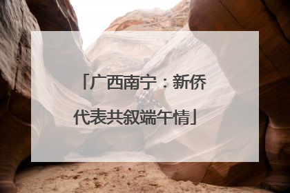 广西南宁：新侨代表共叙端午情