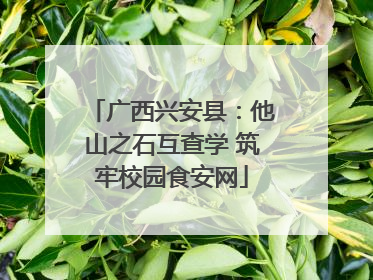 广西兴安县：他山之石互查学 筑牢校园食安网