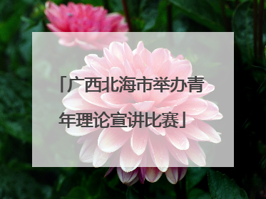 广西北海市举办青年理论宣讲比赛