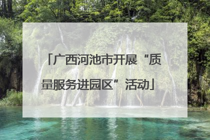 广西河池市开展“质量服务进园区”活动