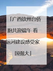 广西钦州台侨胞共迎端午 看运河建设感受家国强大