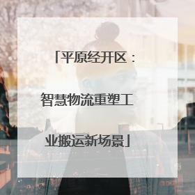 平原经开区：智慧物流重塑工业搬运新场景