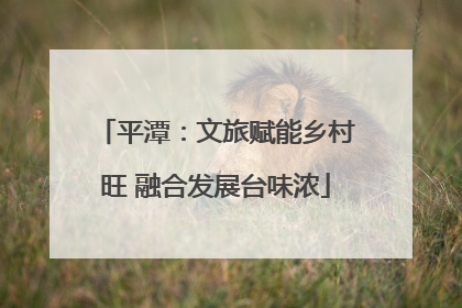 平潭：文旅赋能乡村旺 融合发展台味浓