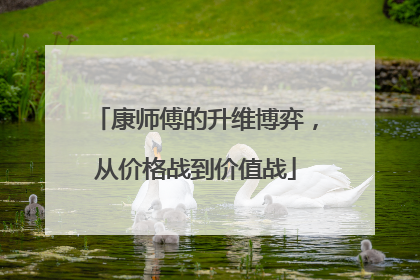 康师傅的升维博弈，从价格战到价值战