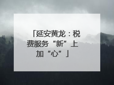 延安黄龙：税费服务“新”上加“心”