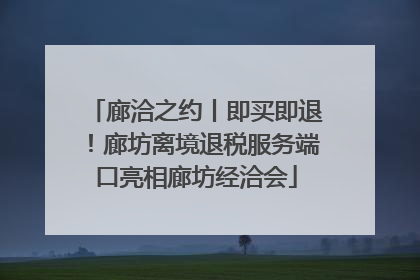 廊洽之约丨即买即退！廊坊离境退税服务端口亮相廊坊经洽会