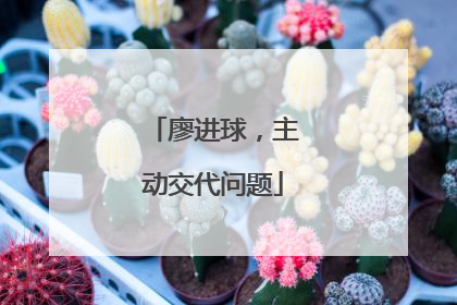 廖进球，主动交代问题